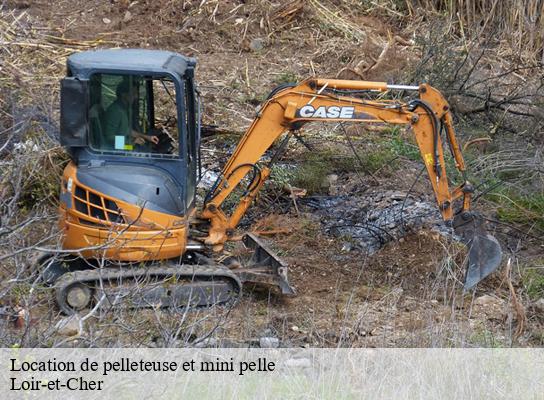 Location de pelleteuse et mini pelle 41 Loir-et-Cher  S.D Terrassement 