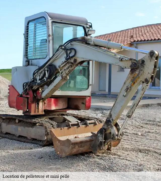 Location de pelleteuse et mini pelle 41 Loir-et-Cher  S.D Terrassement 