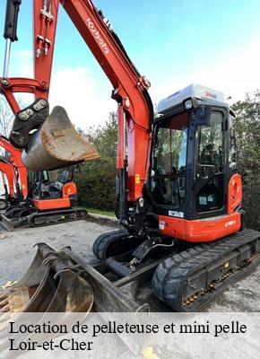 Location de pelleteuse et mini pelle 41 Loir-et-Cher  S.D Terrassement 