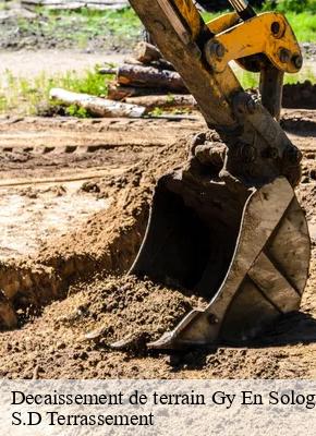 Decaissement de terrain  gy-en-sologne-41230 S.D Terrassement 