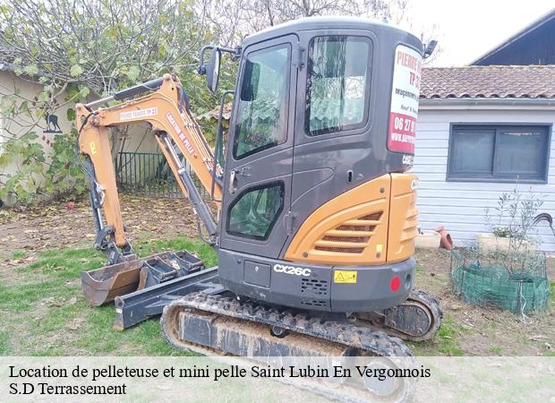 Location de pelleteuse et mini pelle  saint-lubin-en-vergonnois-41190 S.D Terrassement 