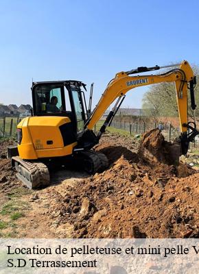 Location de pelleteuse et mini pelle valaire-41120 S.D Terrassement