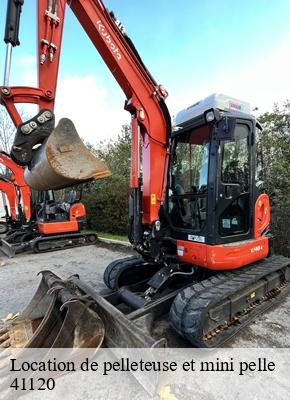 Location de pelleteuse et mini pelle valaire-41120 S.D Terrassement
