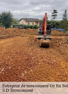 Entreprise de terrassement  gy-en-sologne-41230 S.D Terrassement 