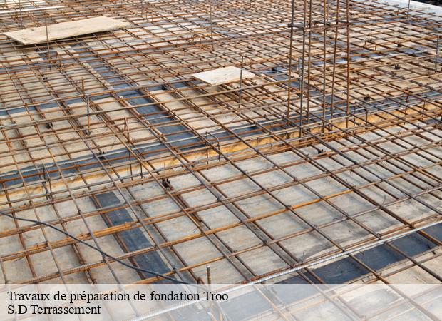 Travaux de préparation de fondation  troo-41800 S.D Terrassement 